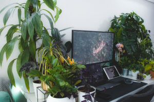birou cu plante